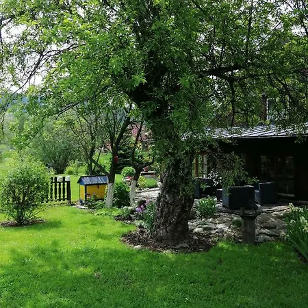 Eskapada * Stronie Śląskie